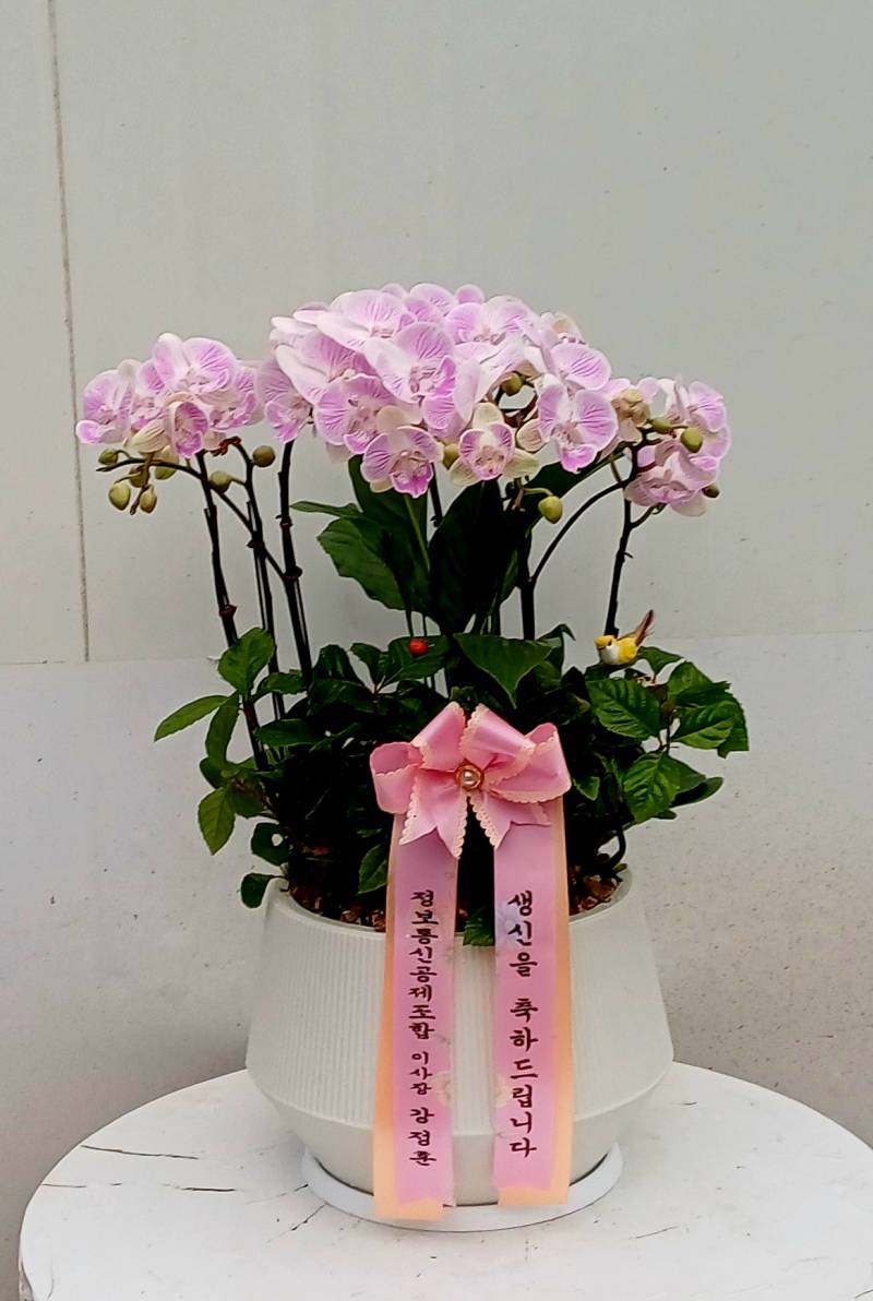 업로드 이미지