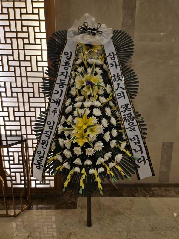 업로드 이미지