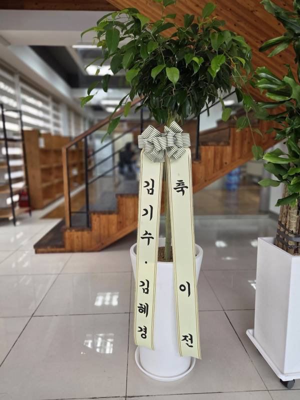 업로드 이미지