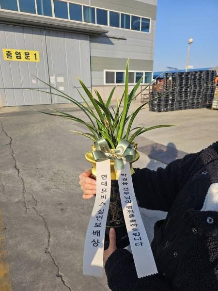 업로드 이미지