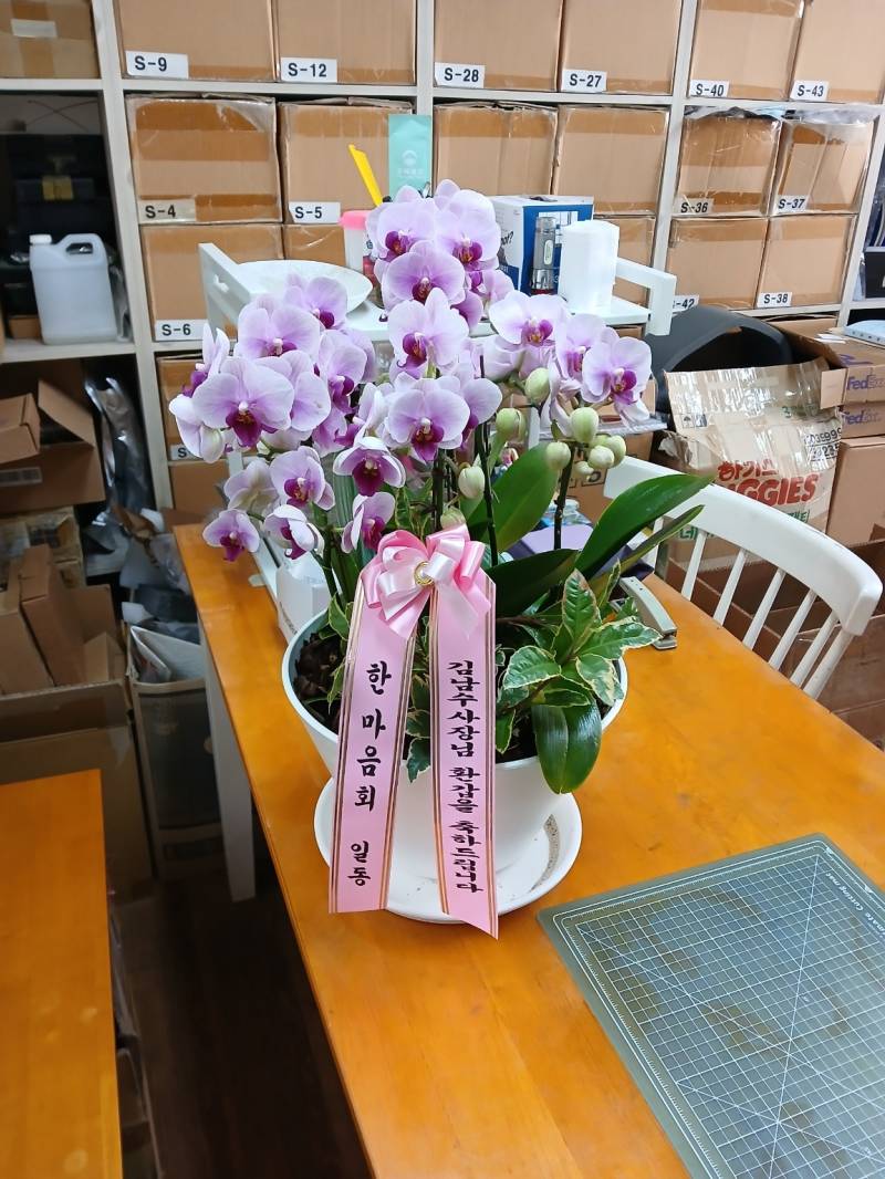업로드 이미지