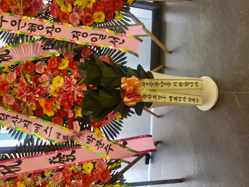 업로드 이미지