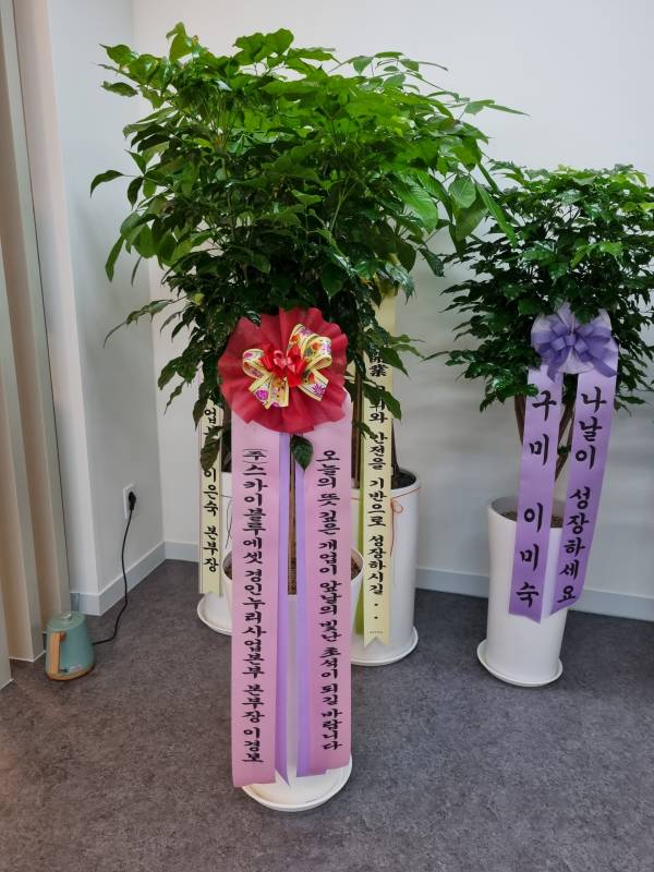 업로드 이미지