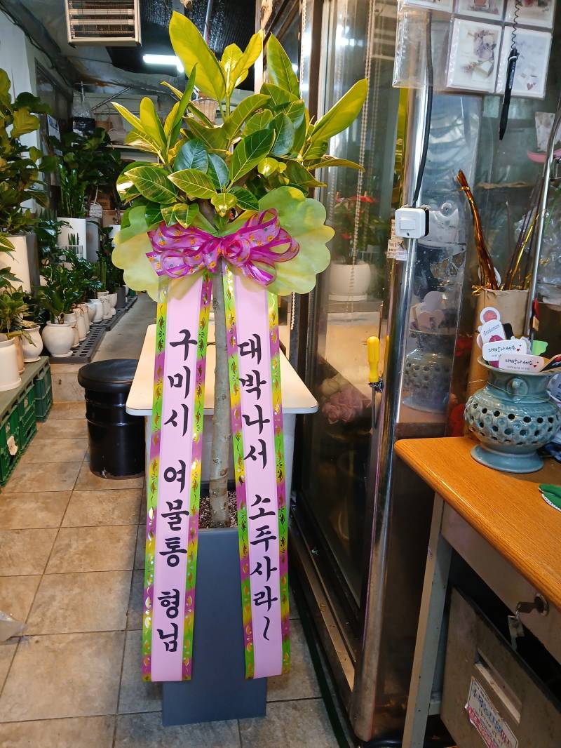 업로드 이미지