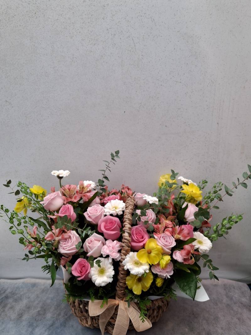 업로드 이미지