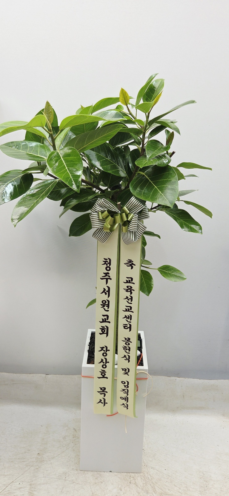 업로드 이미지