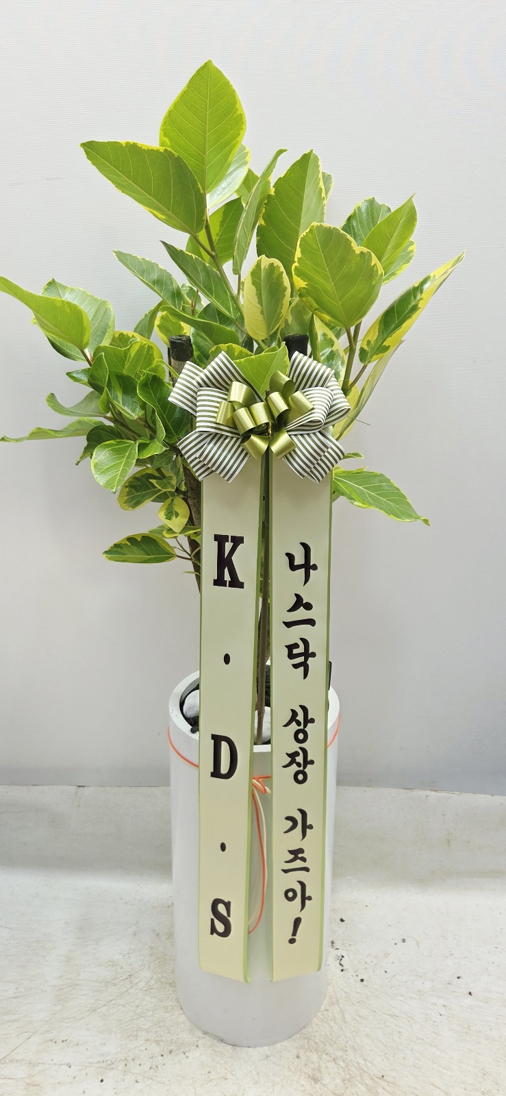 업로드 이미지