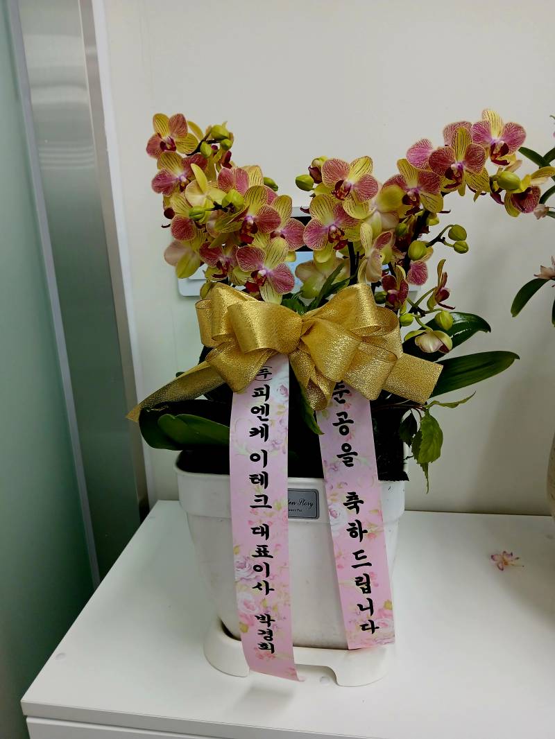 업로드 이미지