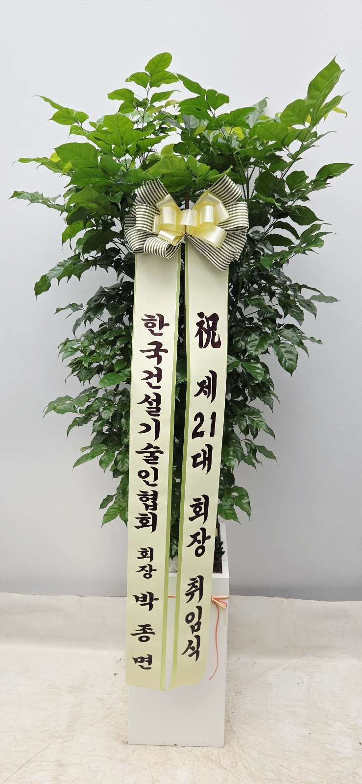 업로드 이미지