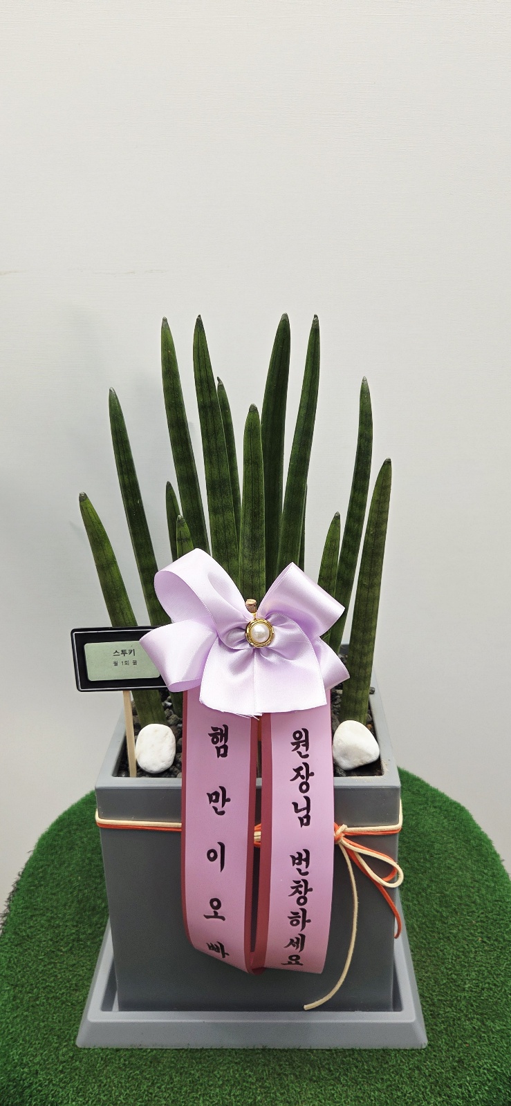 업로드 이미지