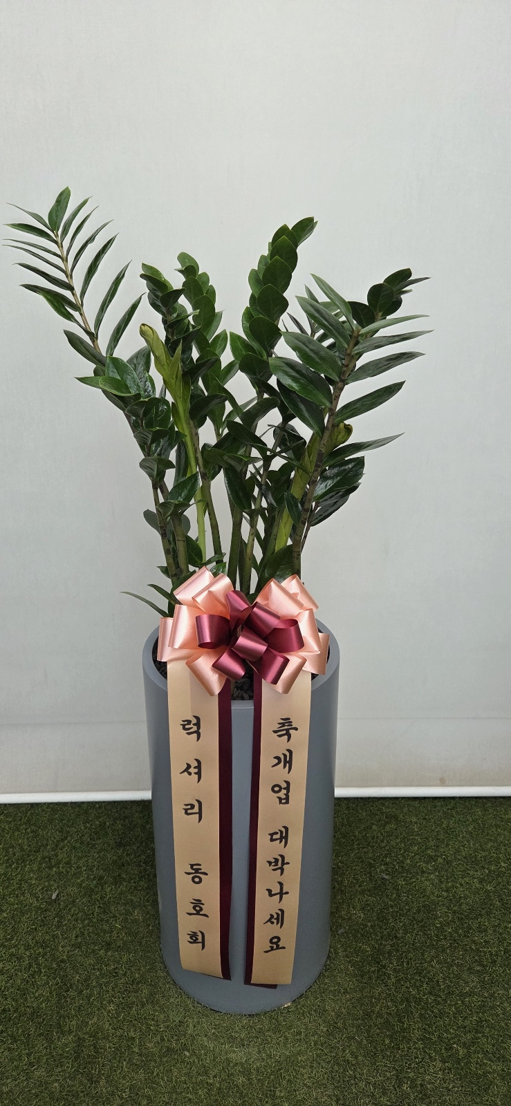 업로드 이미지