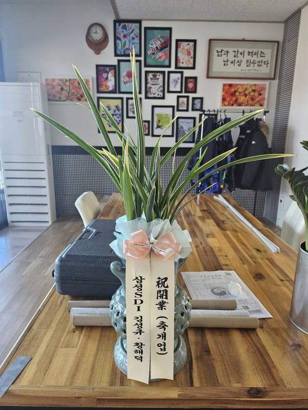 업로드 이미지