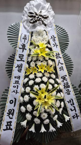 업로드 이미지