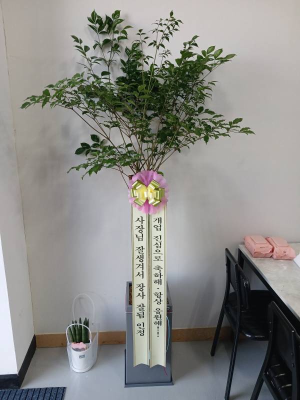 업로드 이미지