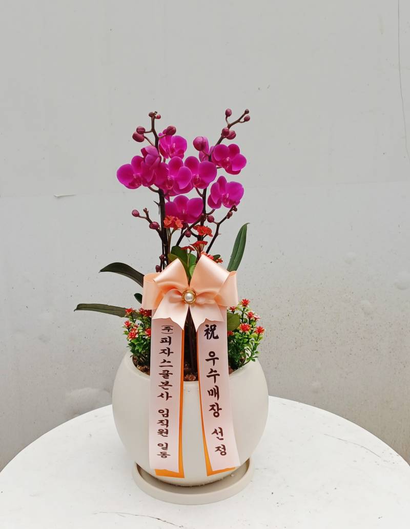 업로드 이미지