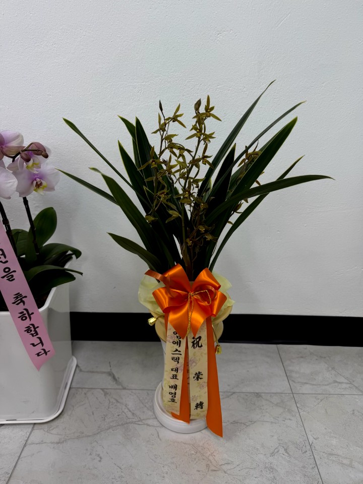 업로드 이미지