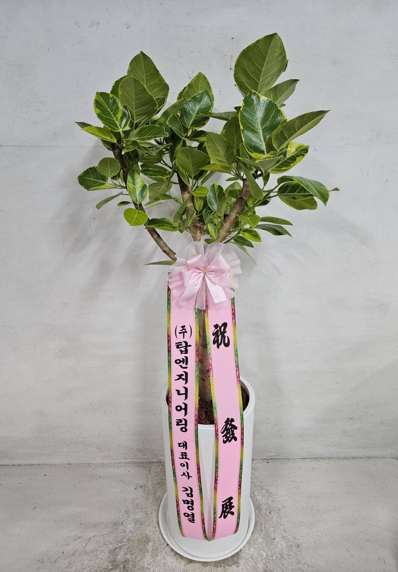 업로드 이미지
