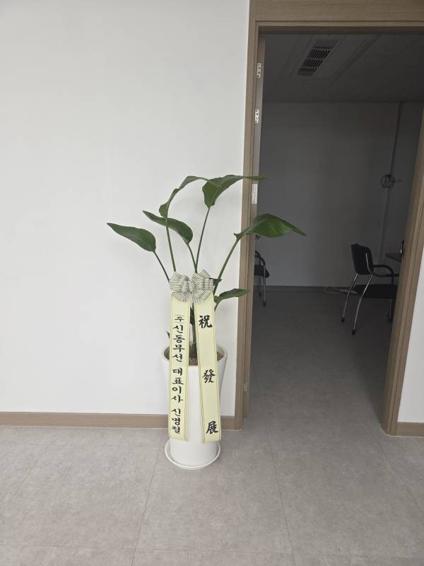 업로드 이미지