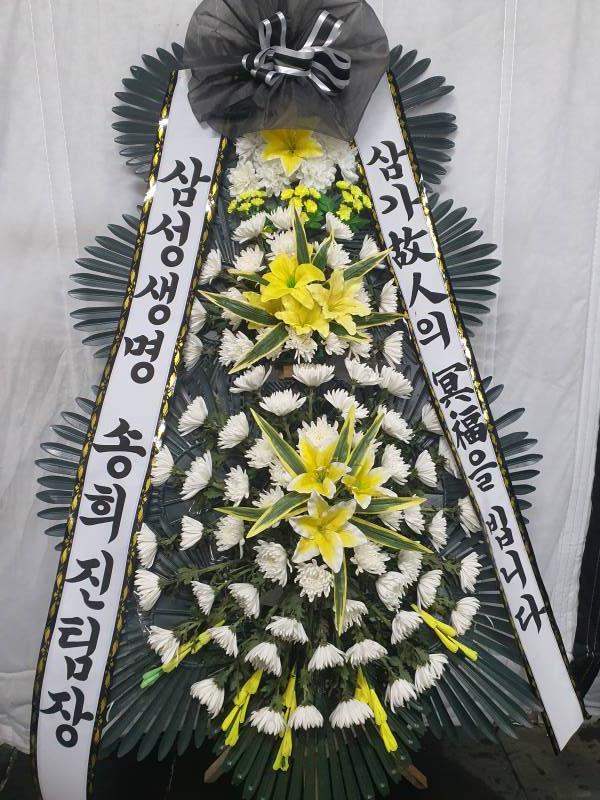 업로드 이미지
