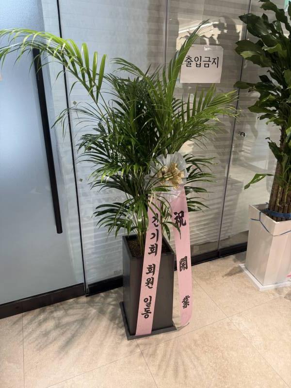 업로드 이미지