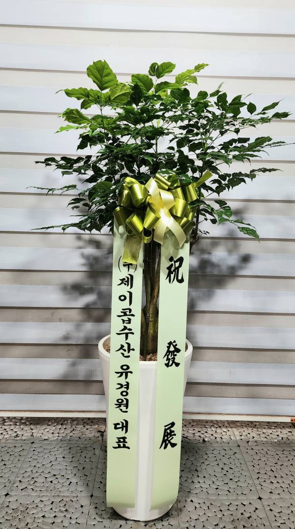 업로드 이미지