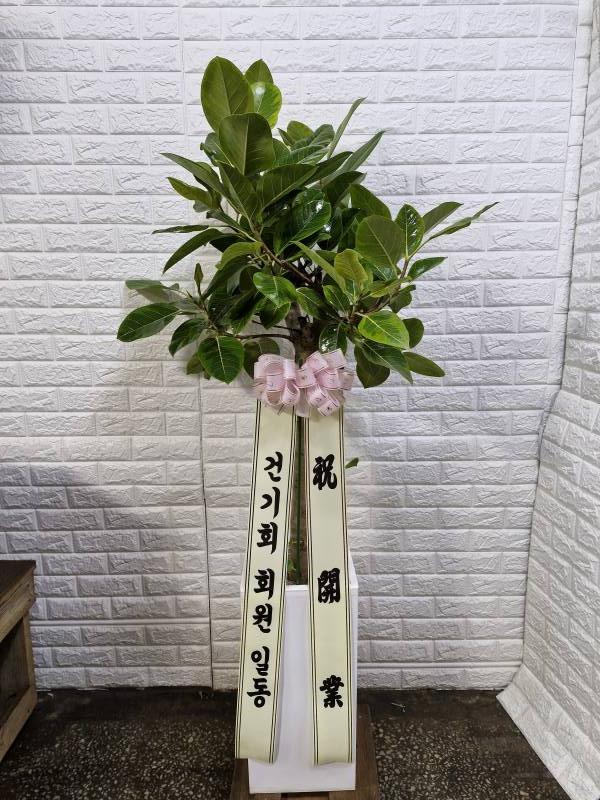 업로드 이미지