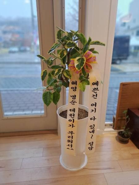 업로드 이미지