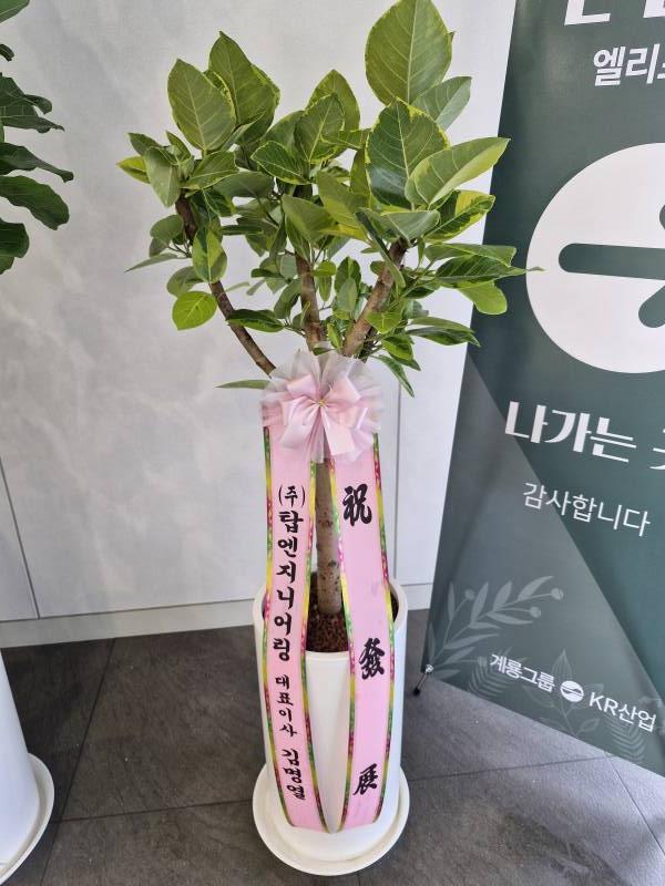 업로드 이미지