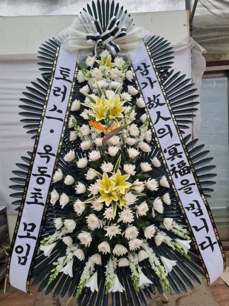업로드 이미지