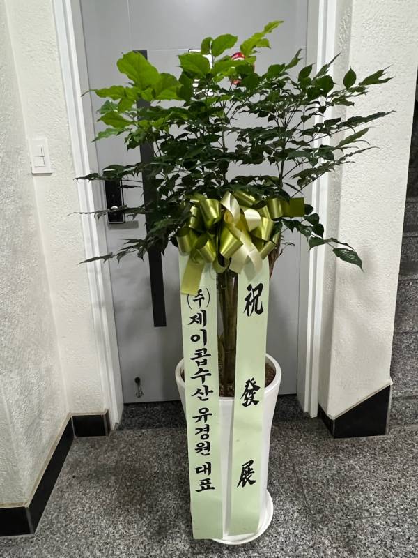 업로드 이미지