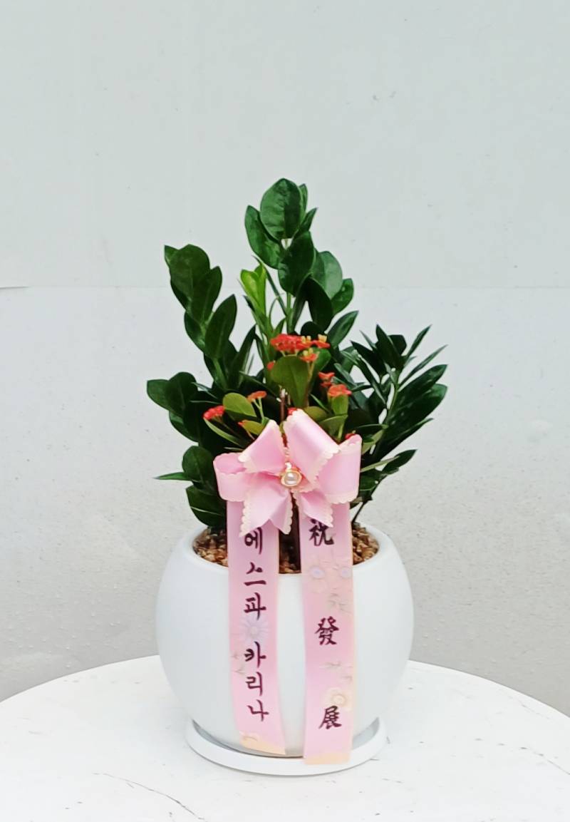 업로드 이미지