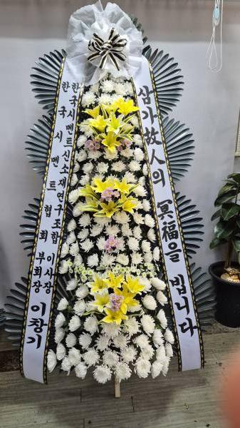 업로드 이미지