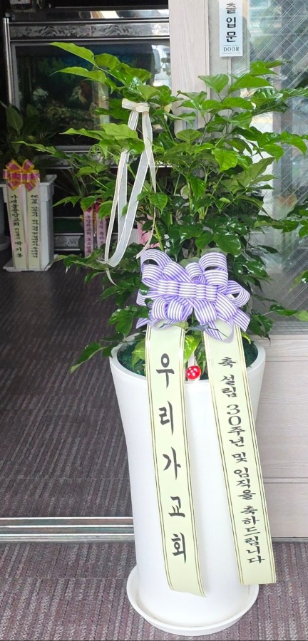 업로드 이미지