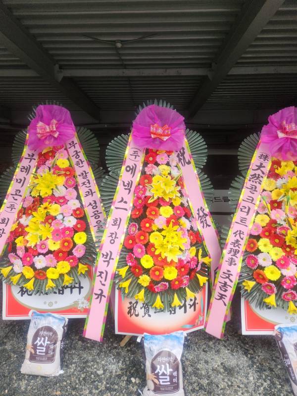 업로드 이미지