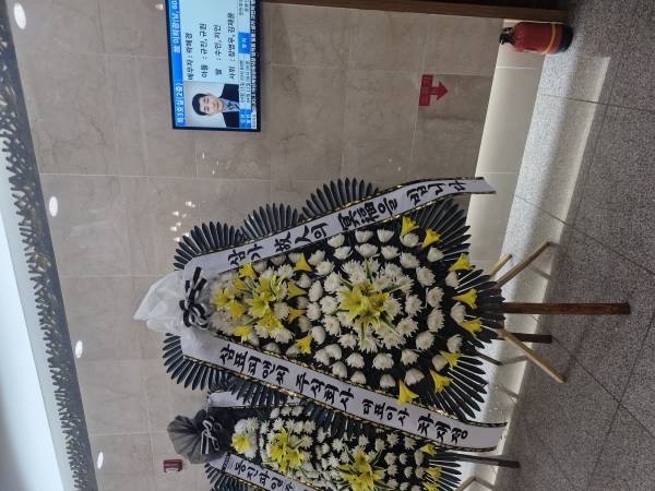 업로드 이미지