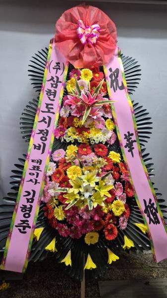 업로드 이미지