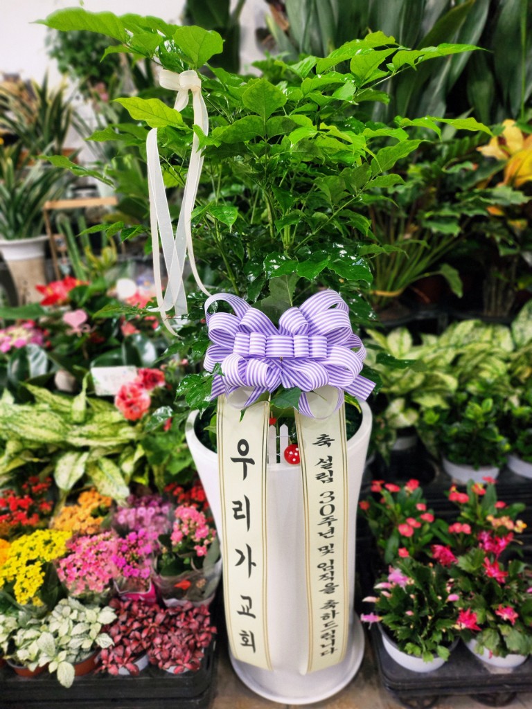 업로드 이미지