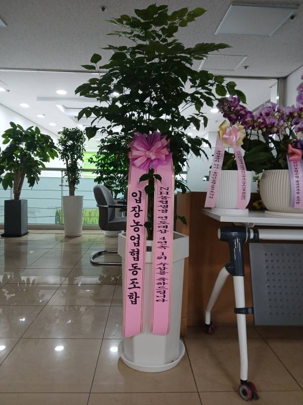 업로드 이미지