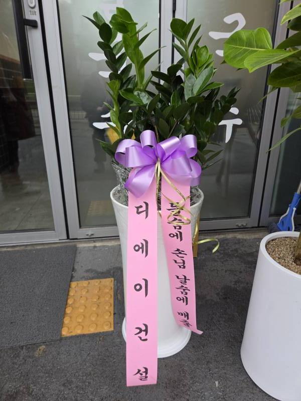 업로드 이미지