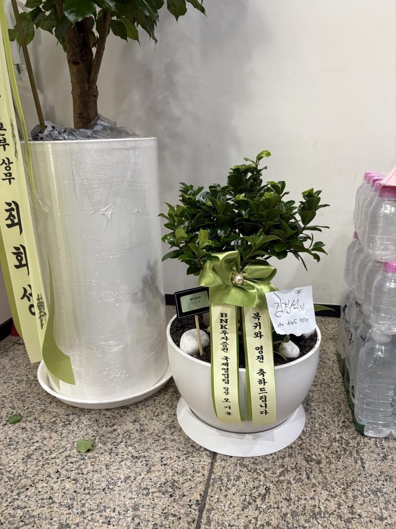 업로드 이미지