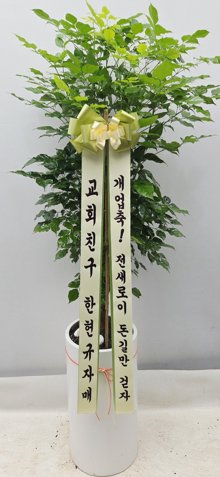 업로드 이미지