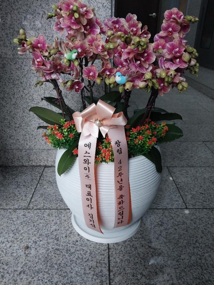 업로드 이미지