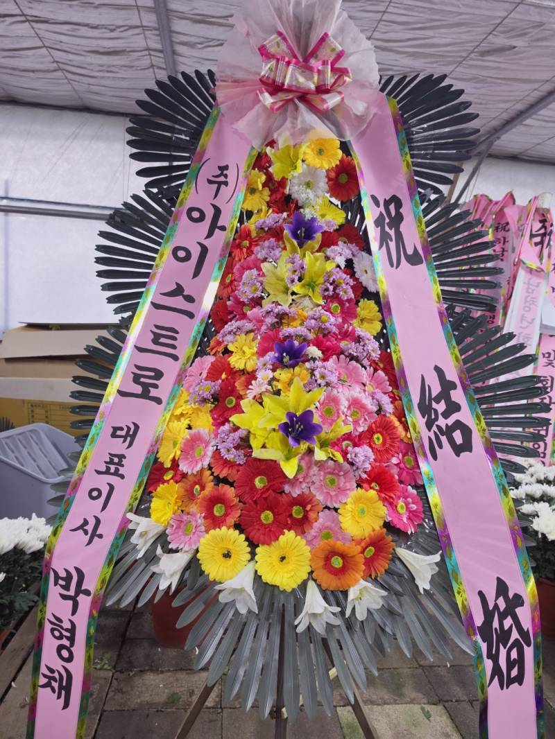 업로드 이미지