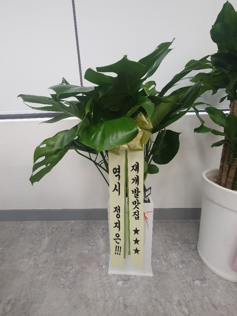 업로드 이미지