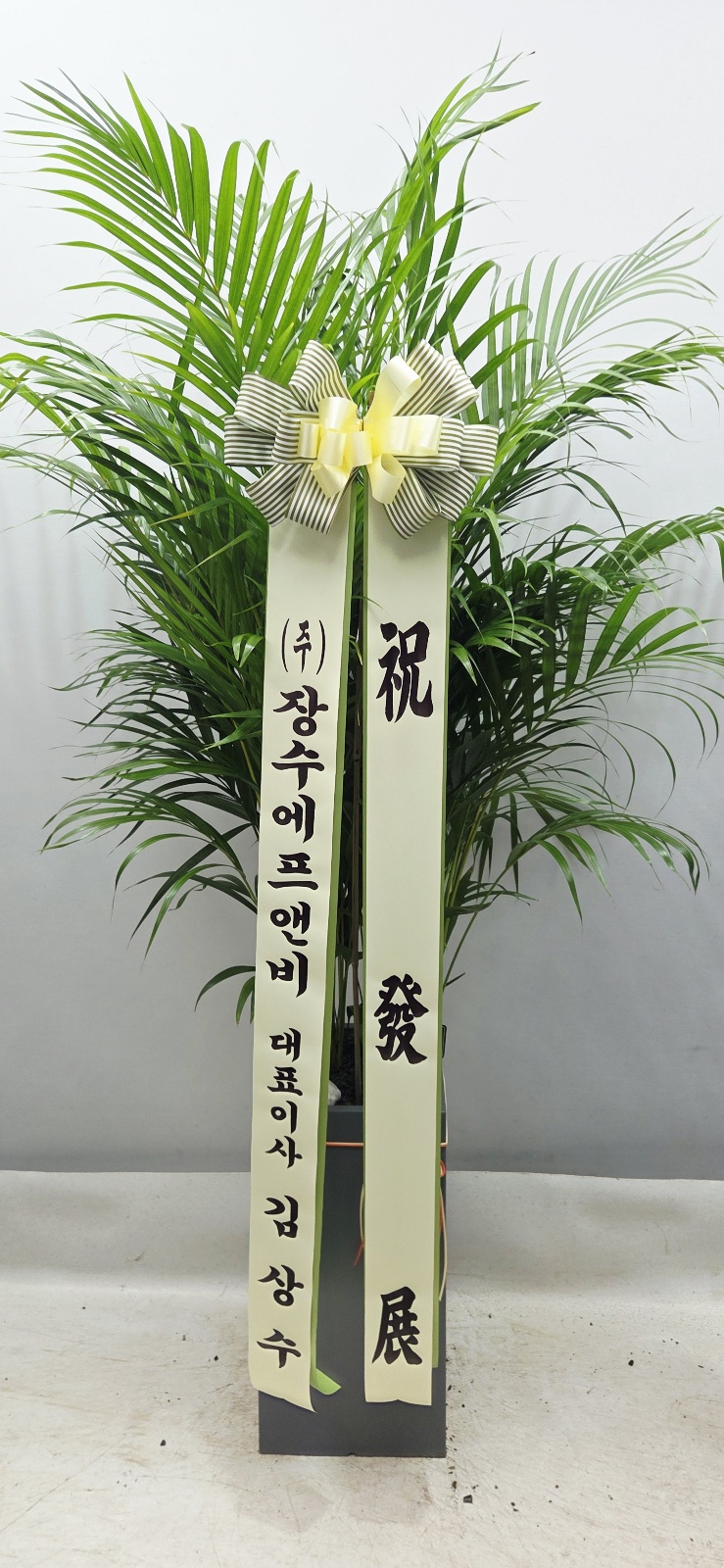업로드 이미지