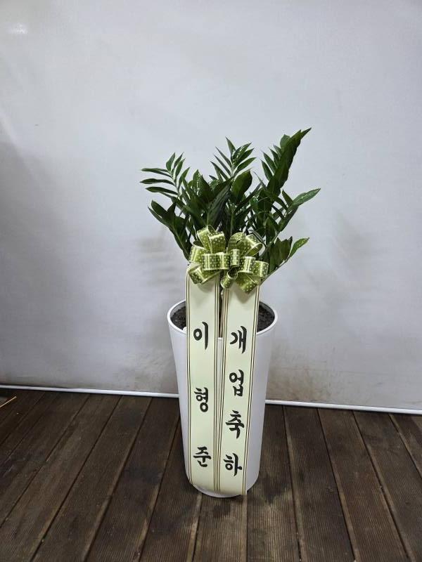 업로드 이미지