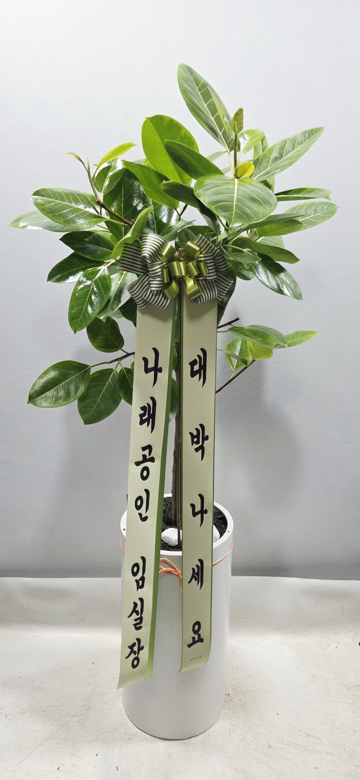 업로드 이미지