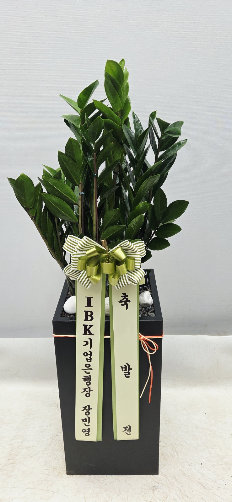 업로드 이미지