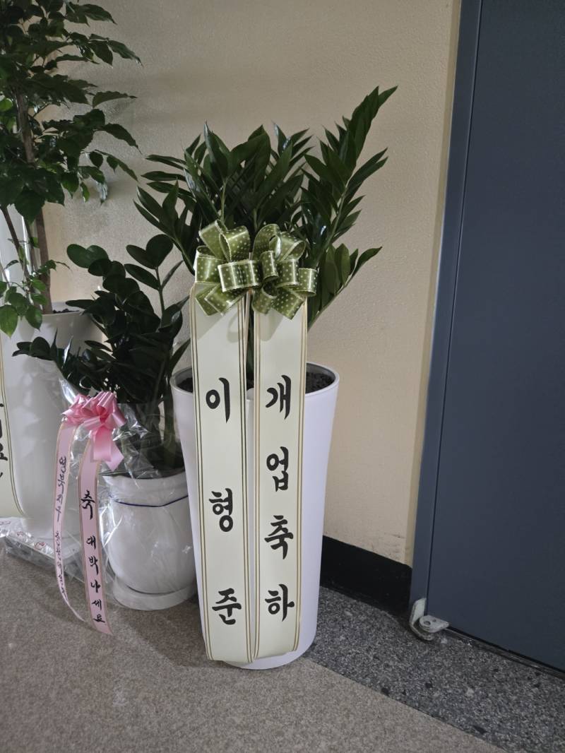 업로드 이미지
