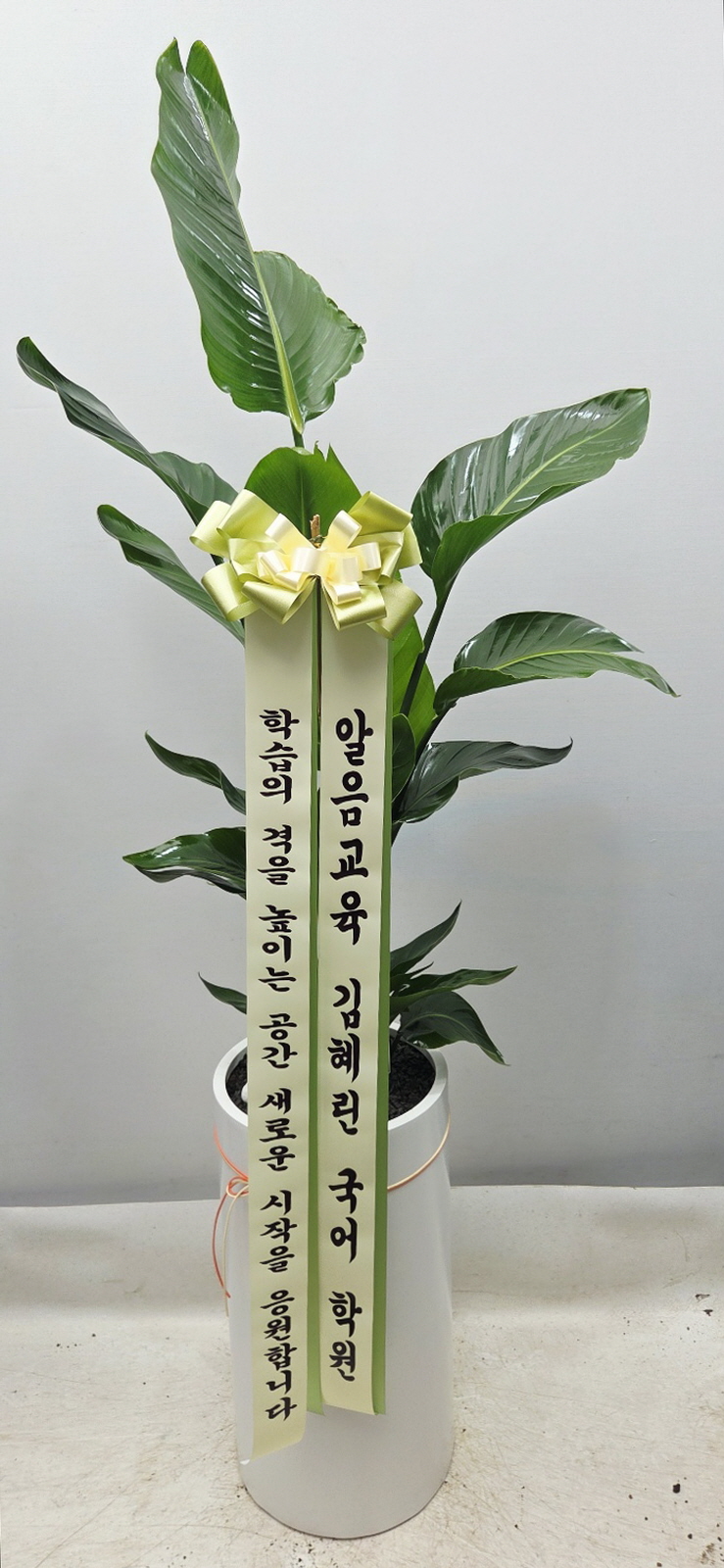 업로드 이미지